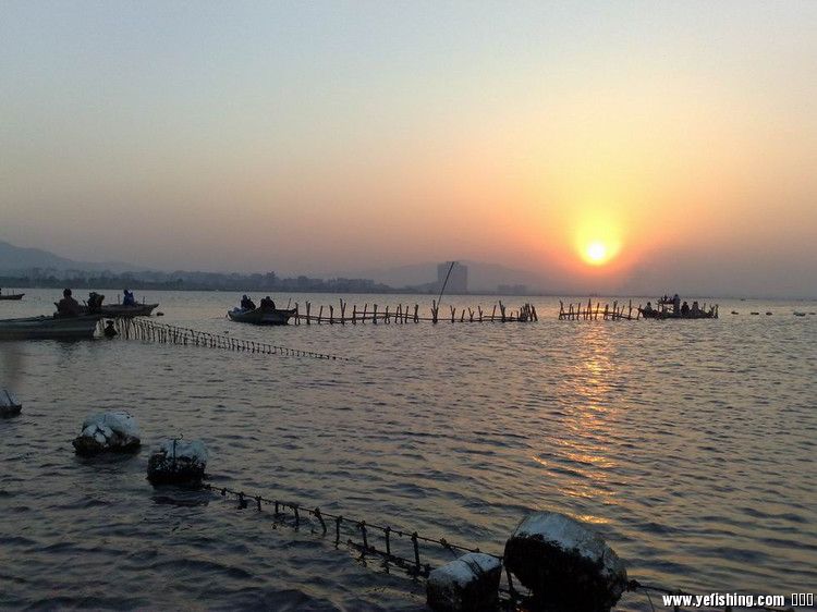 厦门集美区杏林马銮湾海钓场天气